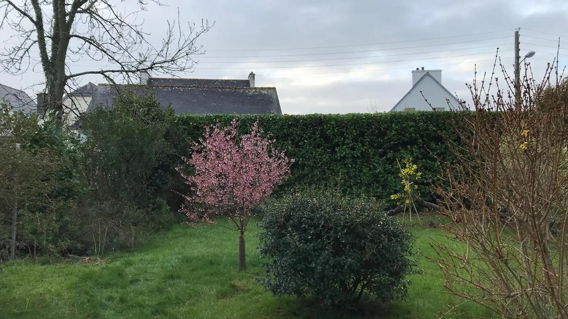 Chambre Double Chez Catherine Et Jean-Luc En Bretagne Panzió Audierne